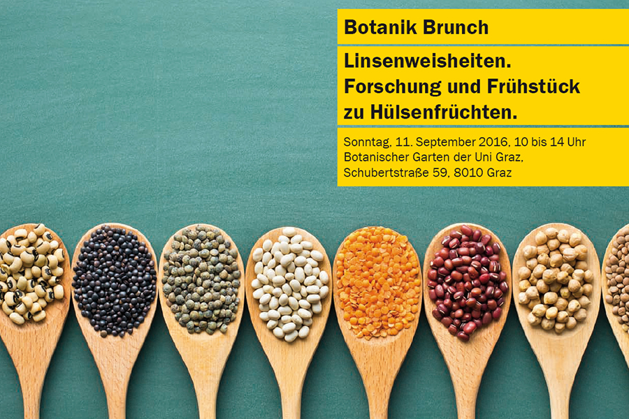Frühstück und Forschung rund um Hülsenfrüchte serviert der nächste Botanik-Brunch. Foto: Jiri Hera/Fotolia.de 