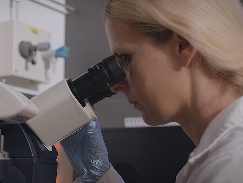 Researcher of the BioHealth consortium of the University of Graz at a microscope. 