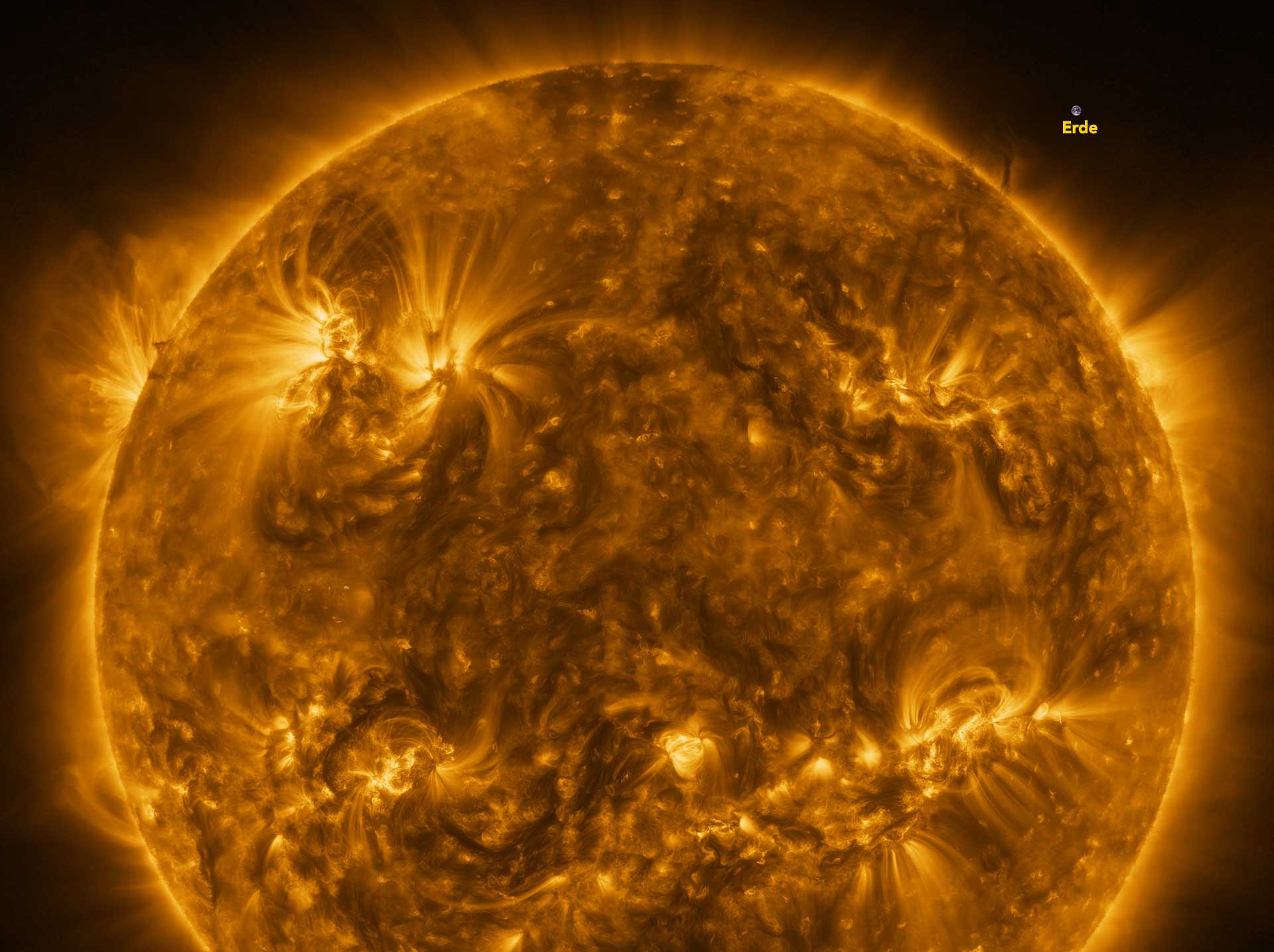 Aufnahme der Sonne von der ESA/NASA-Mission Solar Orbiter. 