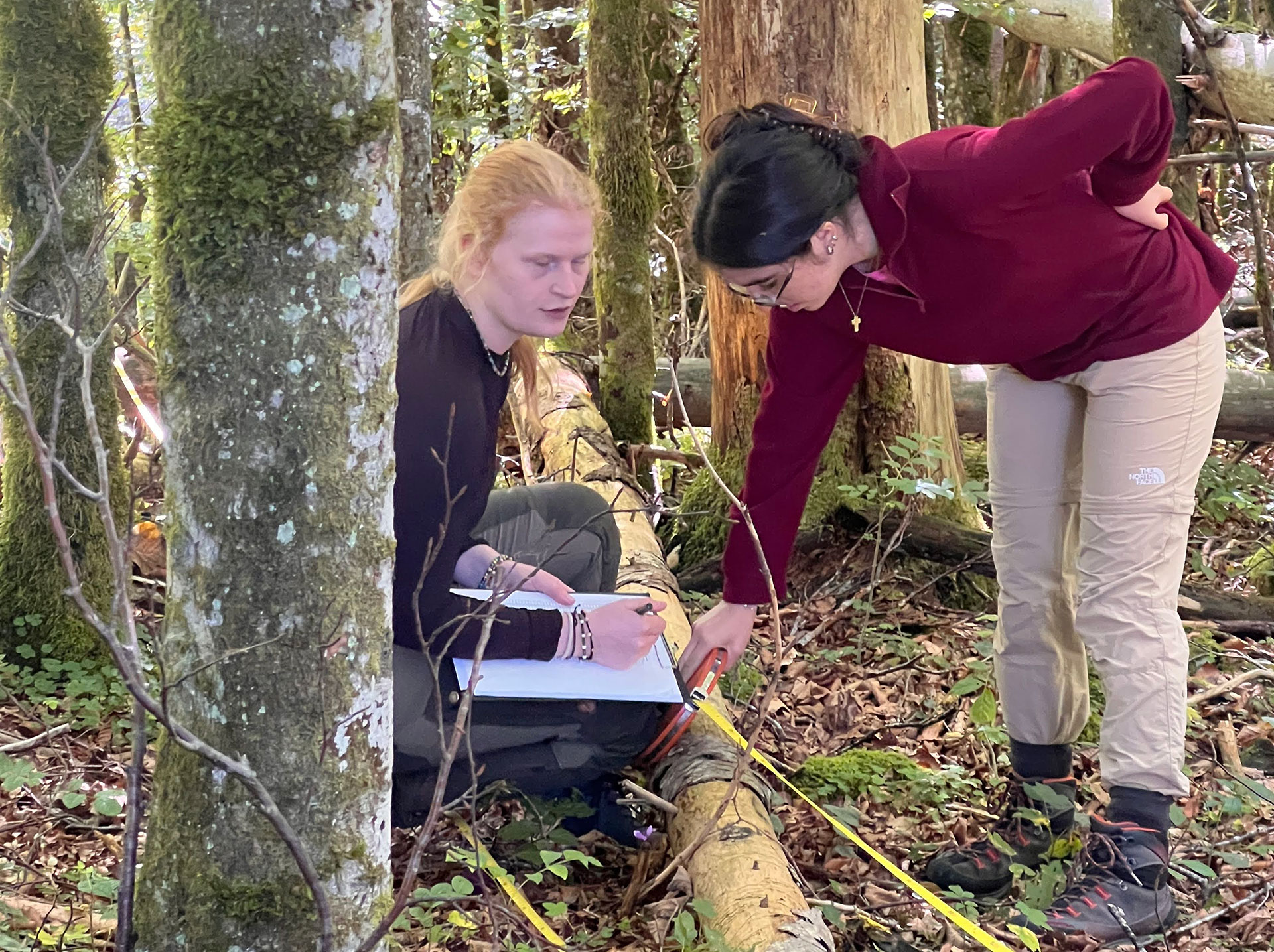 Zwei junge Frauen im Wald bei einem am Boden liegenden Baumstamm, eine Studierende misst mit einem Maßband, die andere notiert das Ergebnis auf einem Blatt Papier. ©Daniela Torres
