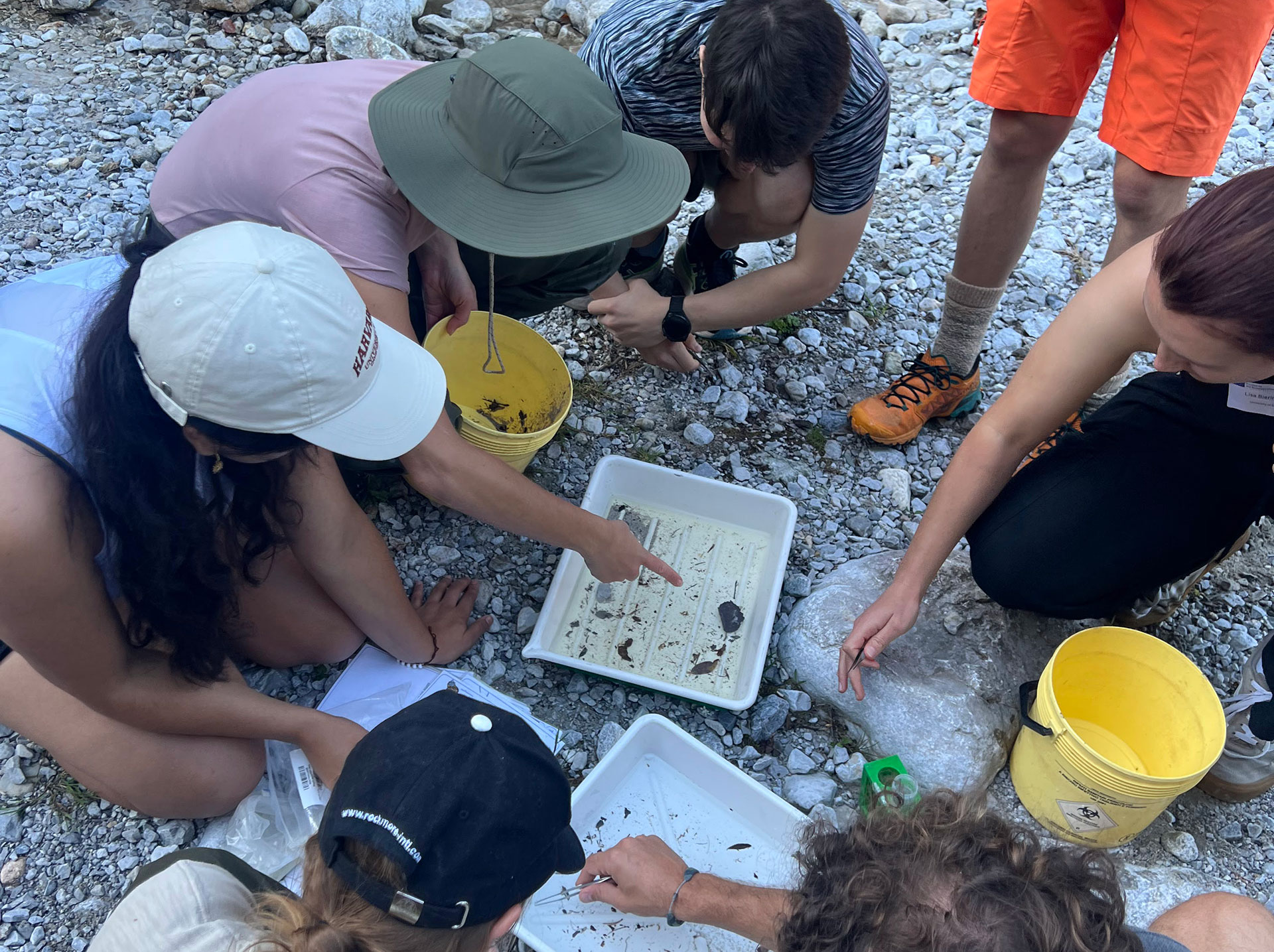 Studierende hocken am Kiesboden, gebeugt über zwei Plastikschalen mit etwas Wasser, das sie mit Kübeln aus dem Fluss geschöpft haben. Sie untersuchen mit einer Pinzette, welche kleine LEbewesen oder andere Dinge sich in der Wasserprobe befinden. ©Elisabeth Book