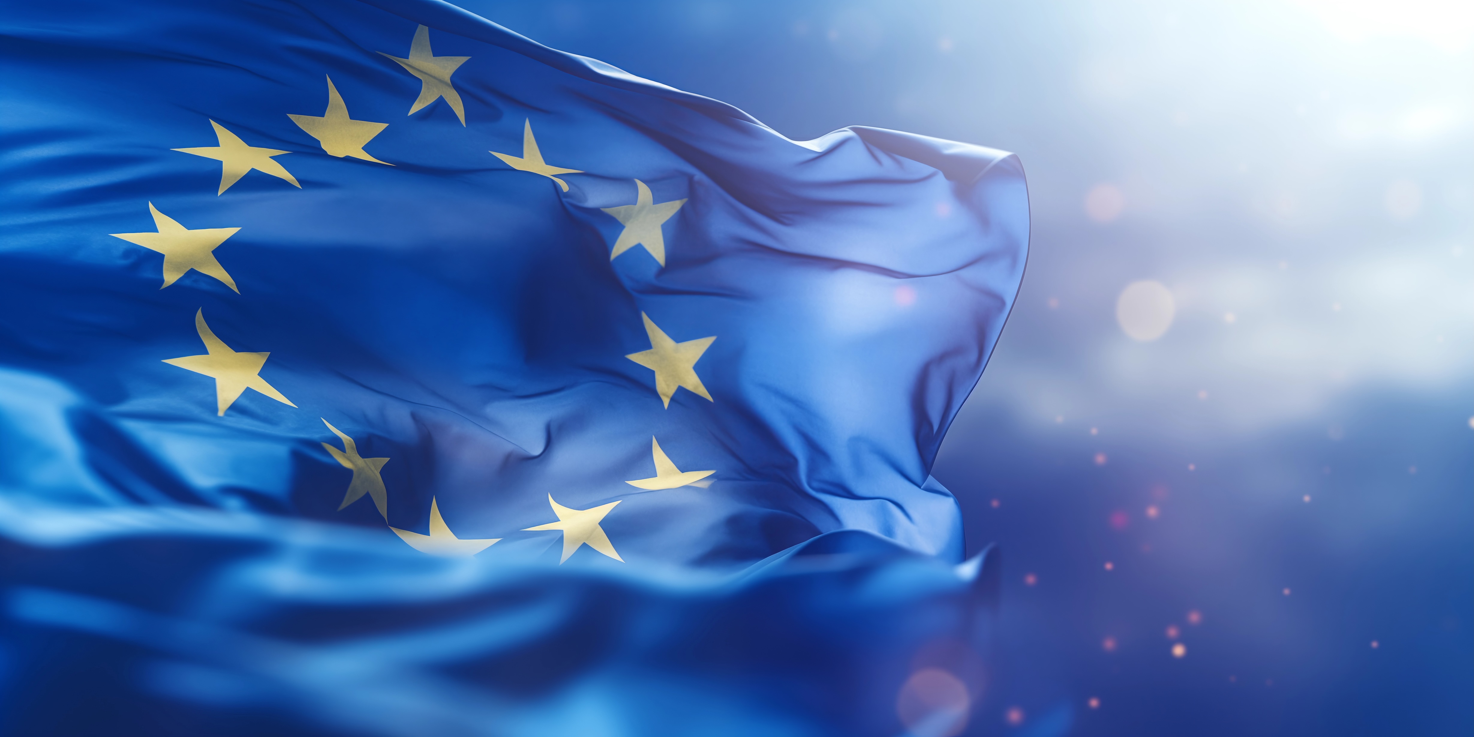 Die europäiche Flagge 
