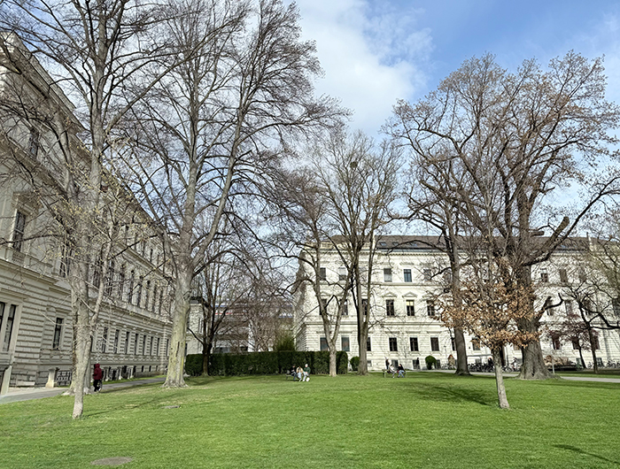 Bienenwiese ©Uni Graz/Reif-Teubenbacher
