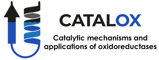 Logo of the CATALOX consortium ©Bild wurde von Sprecher:in des Konsortiums zur Verfügung gestellt. 