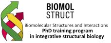 Symbolphoto BioMolStruct. ©Bild wurde von Sprecher:in des Konsortiums zur Verfügung gestellt. 