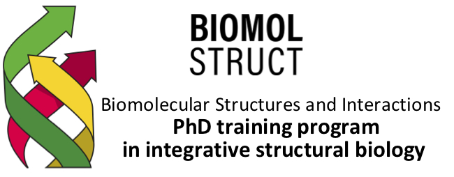 The logo of Biomol Struct.  ©Bild wurde von Sprecher:in des Konsortiums zur Verfügung gestellt. 