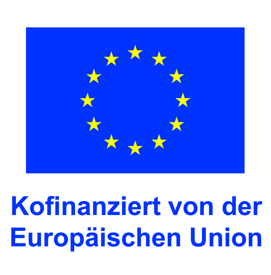 Die Fahne der EU. Darunter ein Schriftzug "Kofinanziert von der Europäischen Union" ©OeAD