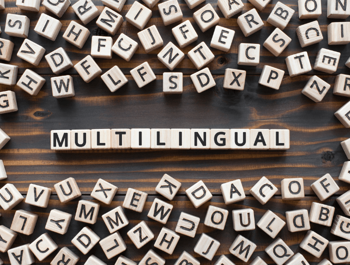 Holzblöcke mit schwarzen Buchstaben ergeben das Wort Multilingual ©Canva