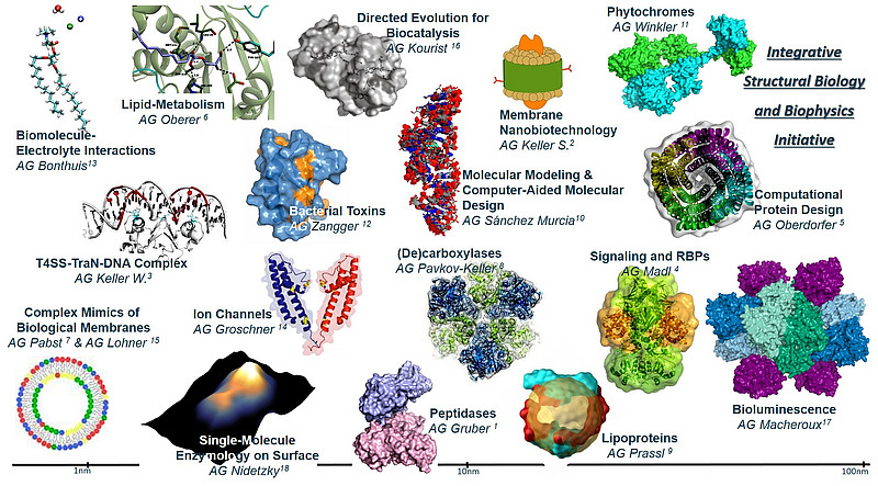 research groups 