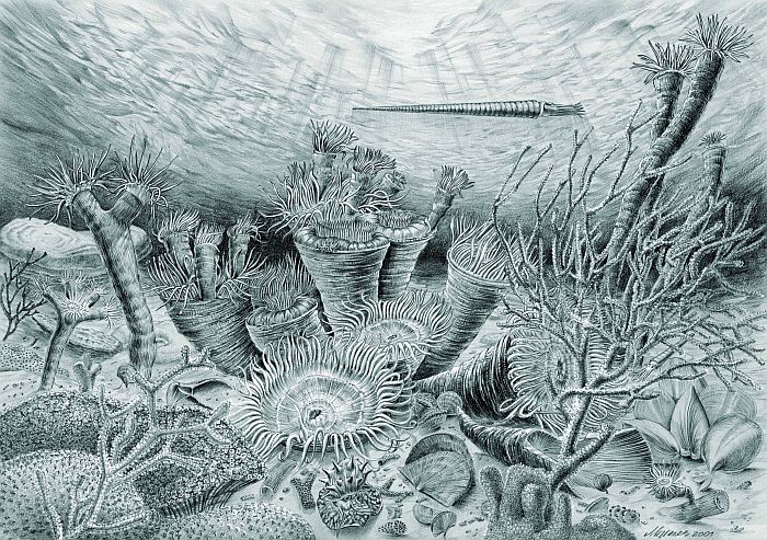 Life in the sea at Plabutsch Middle Devonian ©Fritz Messner