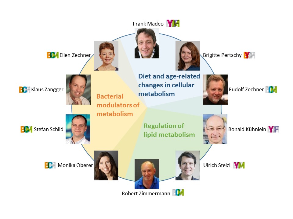 Arbetisgruppenleiterinnen in einem Pie chart der verschiedenen Forschugsbereiche ©MOBILES-doc.fund-Oberer