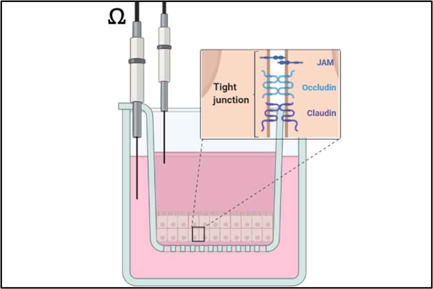 Pharmakologie 