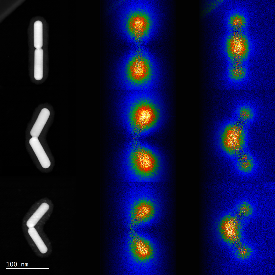 Elektronenmikroskopische Bilder von Nanostäbchen-Paaren, die mittlere und rechte Reihe zeigt die mittels Elektronenspektroskopie abgebildeten Plasmonenmoden. Bild: McMaster Univ./M. Bugnet ©Uni Graz/Krenn