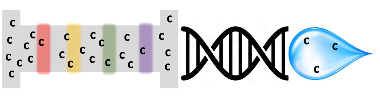 Schematic representation of chromatographic column with ICPMS ©B Lajin
