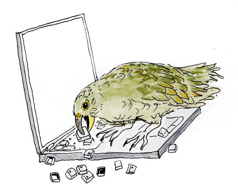A drawn Kea bird tearing out the keys of a laptop with its beak. ©Martin Busse