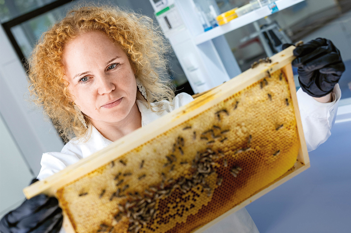 Forscherin mit Bienen ©Uni Graz/Marija Kanizaj