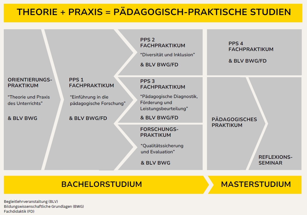 Grafik der Praktika und Begleitlehrveranstaltungen ©Uni Graz/ZfP