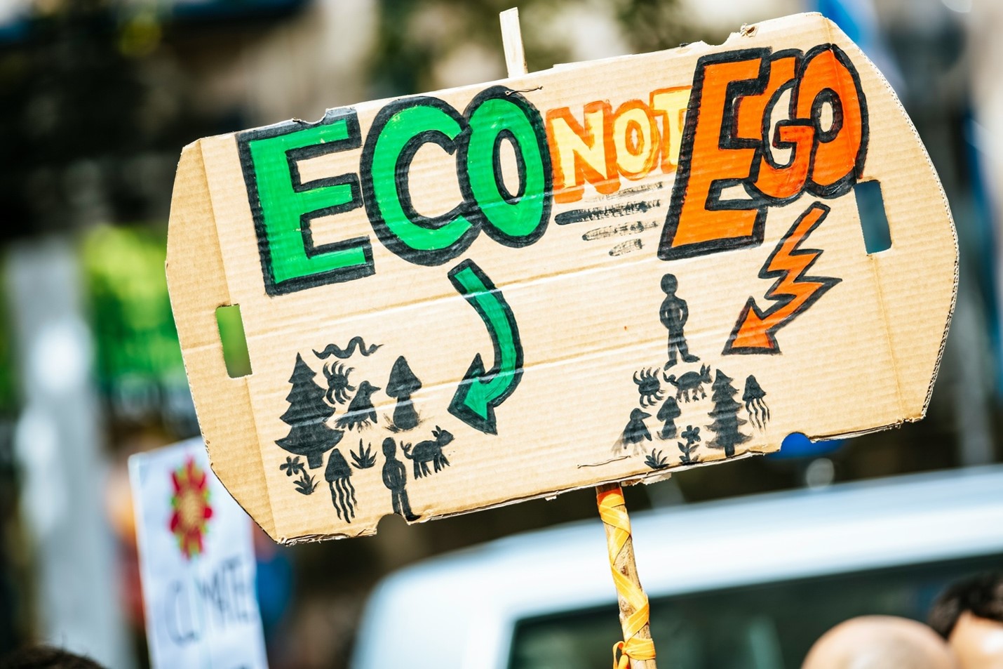 Ecofeminist protest banner 