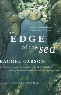Rachel Carson's The Edge of the Sea book cover ©Mariner Books