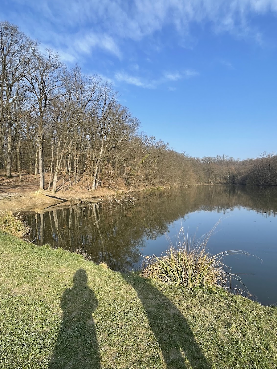 A serene pond reflects a blue sky and bare trees on a sunny day. Shadows of people and trees stretch over lush grass, evoking a tranquil atmosphere. ©Milka Car