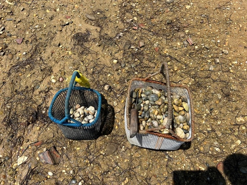 Figure 1 Salesia's basket (at right) and my basket (at left) after three hours of shellfish gathering. Photo by Raquel Carvalheira. 