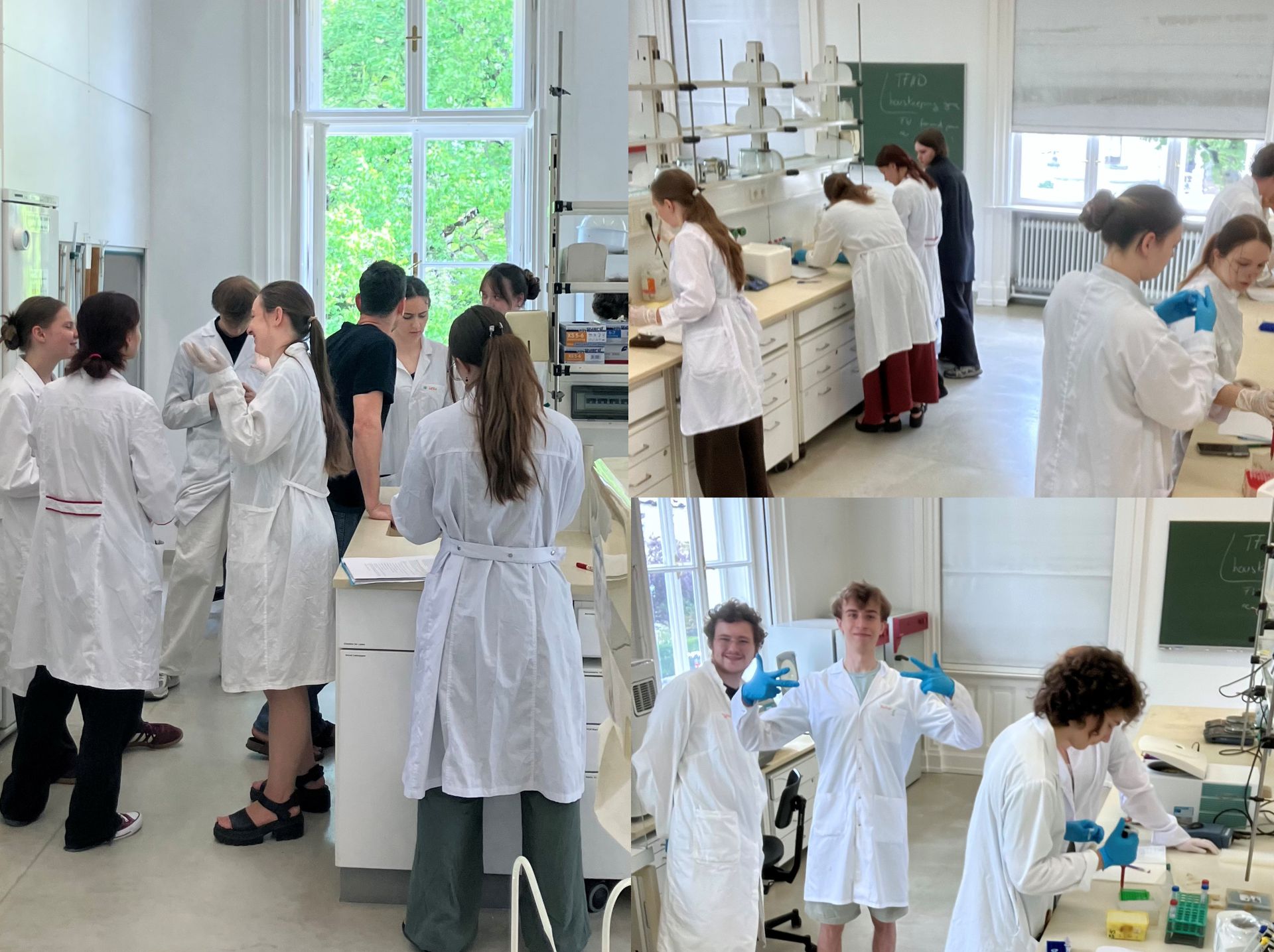 lab photo