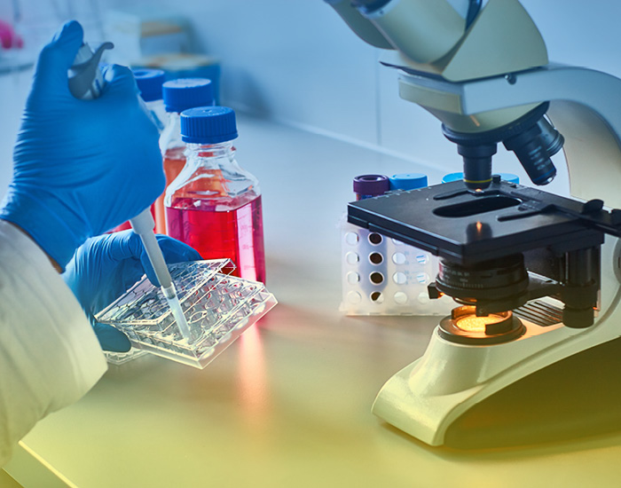 The picture shows two hands with blue gloves holding a pipette and a carrier plate, next to a microscope ©Catalin – stock.adobe.com