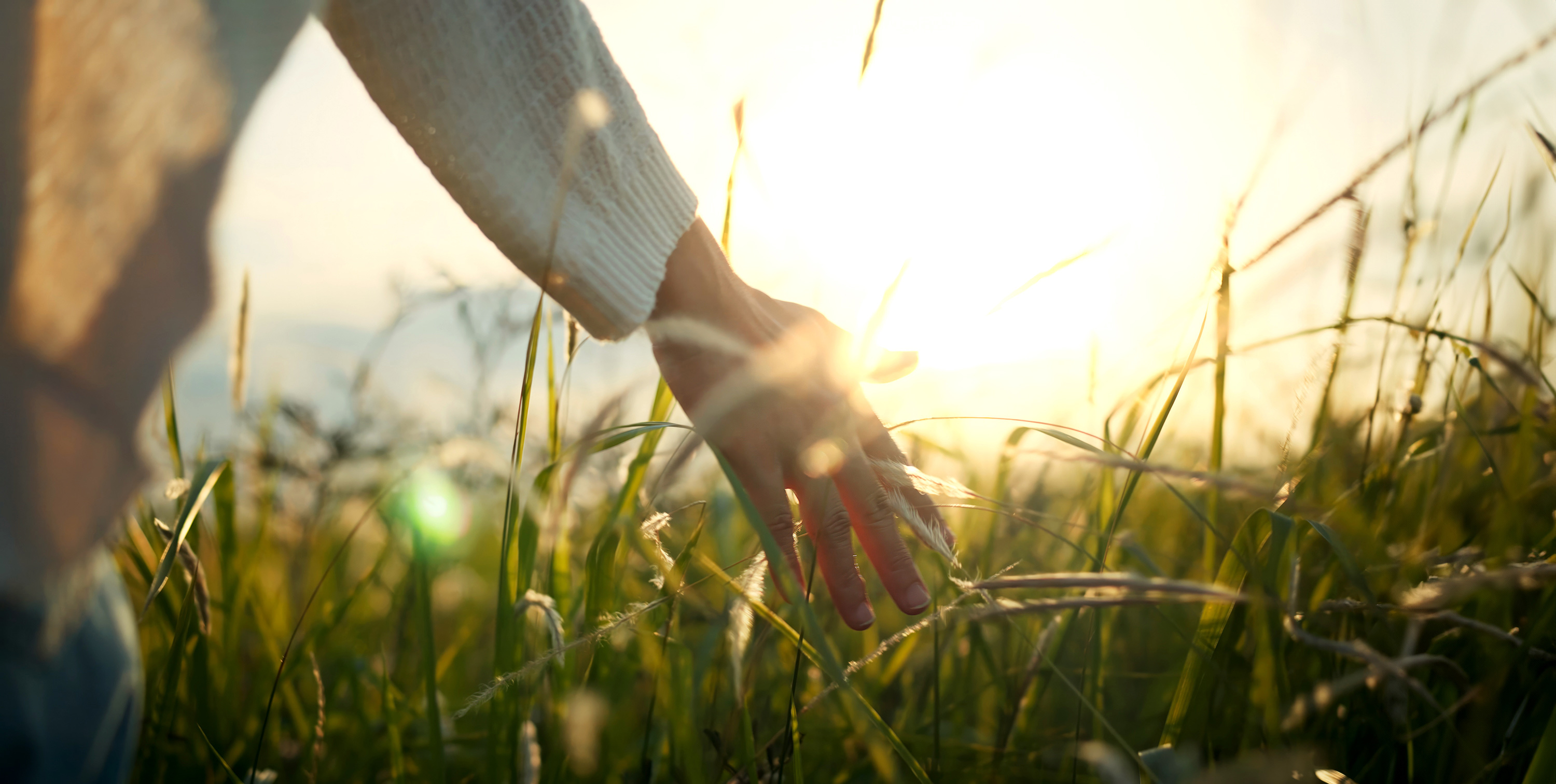 Eine Hand streift durch hohes Gras 