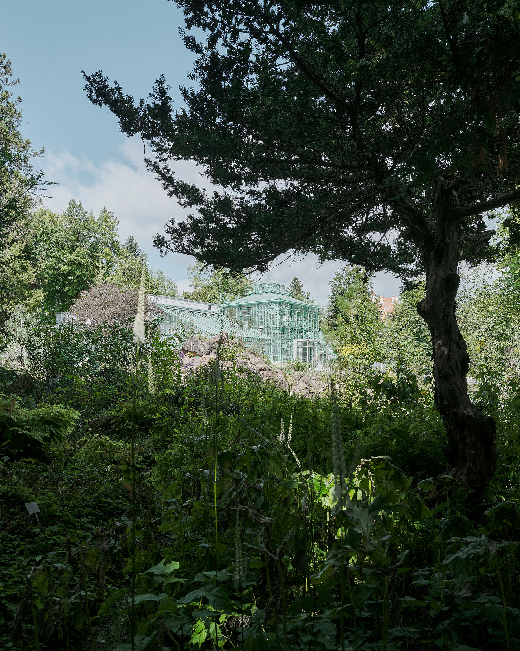Botanischer Garten