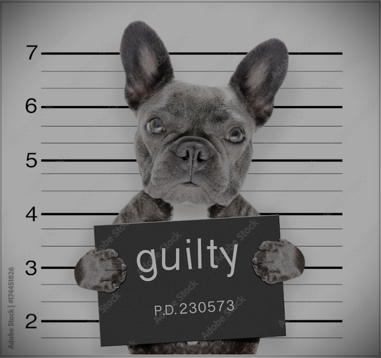 Hans Gross Zentrum für interdisziplinäre Kriminalwissenschaften, Mugshot von einem Hund mit Schild "Guilty". 