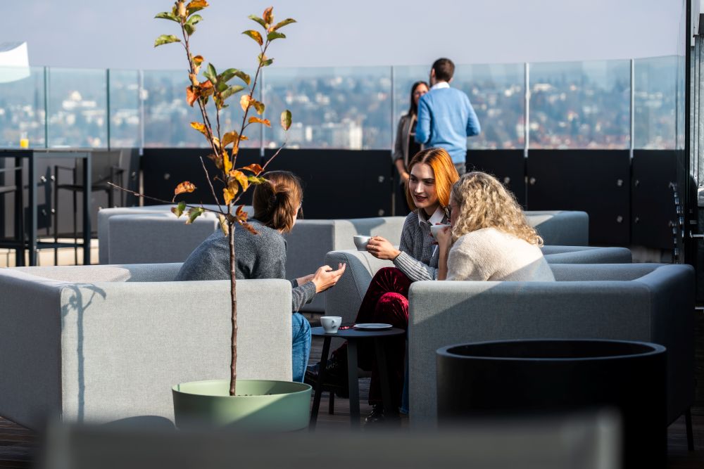 Skyroom ©Maximilian Niederwieser