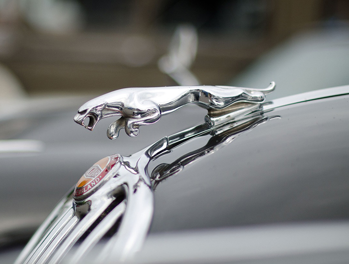 Ein springender Jaguar als Erkennungszeichen der Automarke ©bruno bissig - Pixabay.com