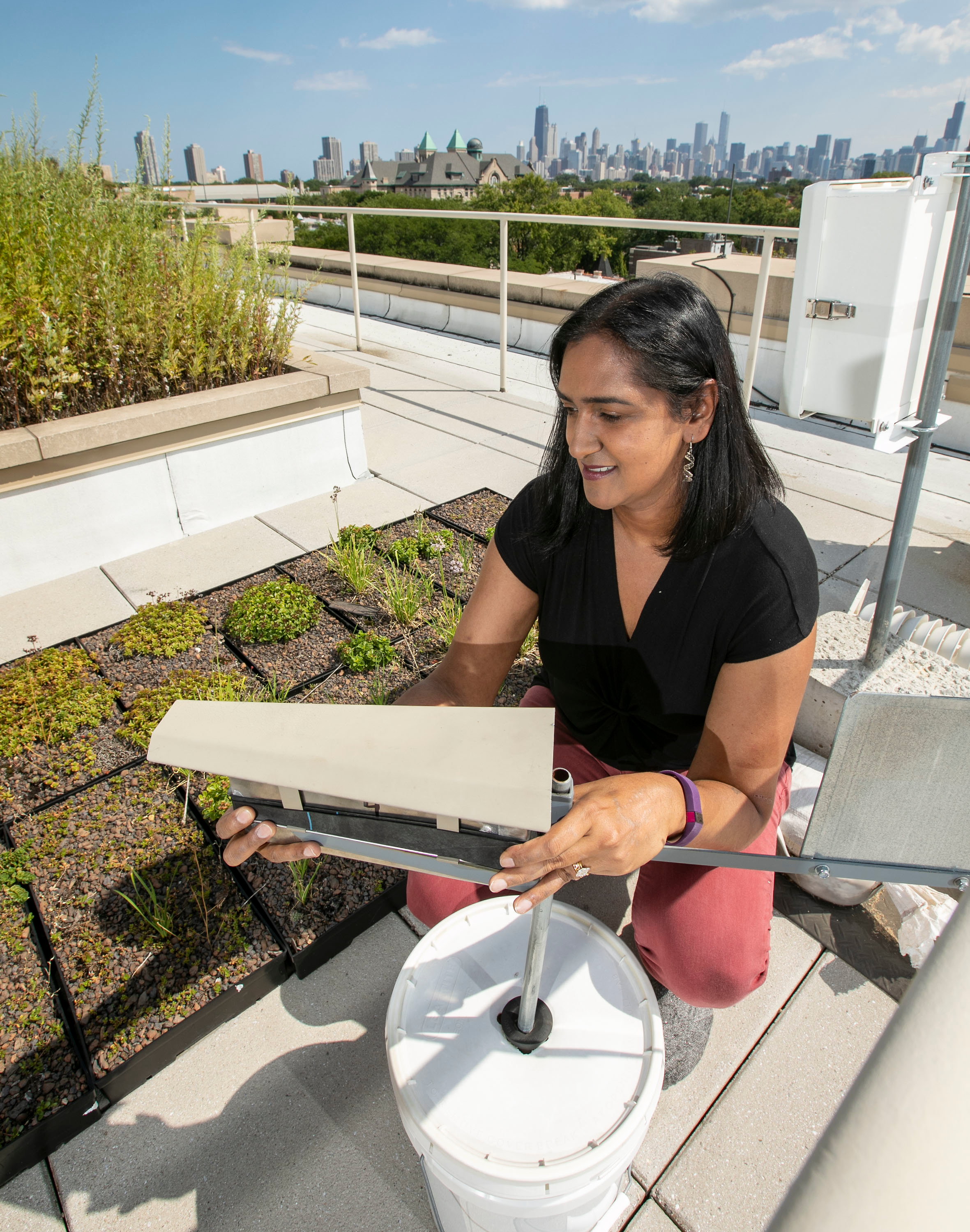 2018 08/22/18 assistant professor, Bala Chaudhary, Department of Environmental Science and Studies, College of science and health, undergraduate research, LPC, lincoln park campus, mcgowan south, greenroof, green roof, urban mycorrhizas, research, pollution, urban garden, ecology, soil, data analysis, environmental science ©2018 DePaul University