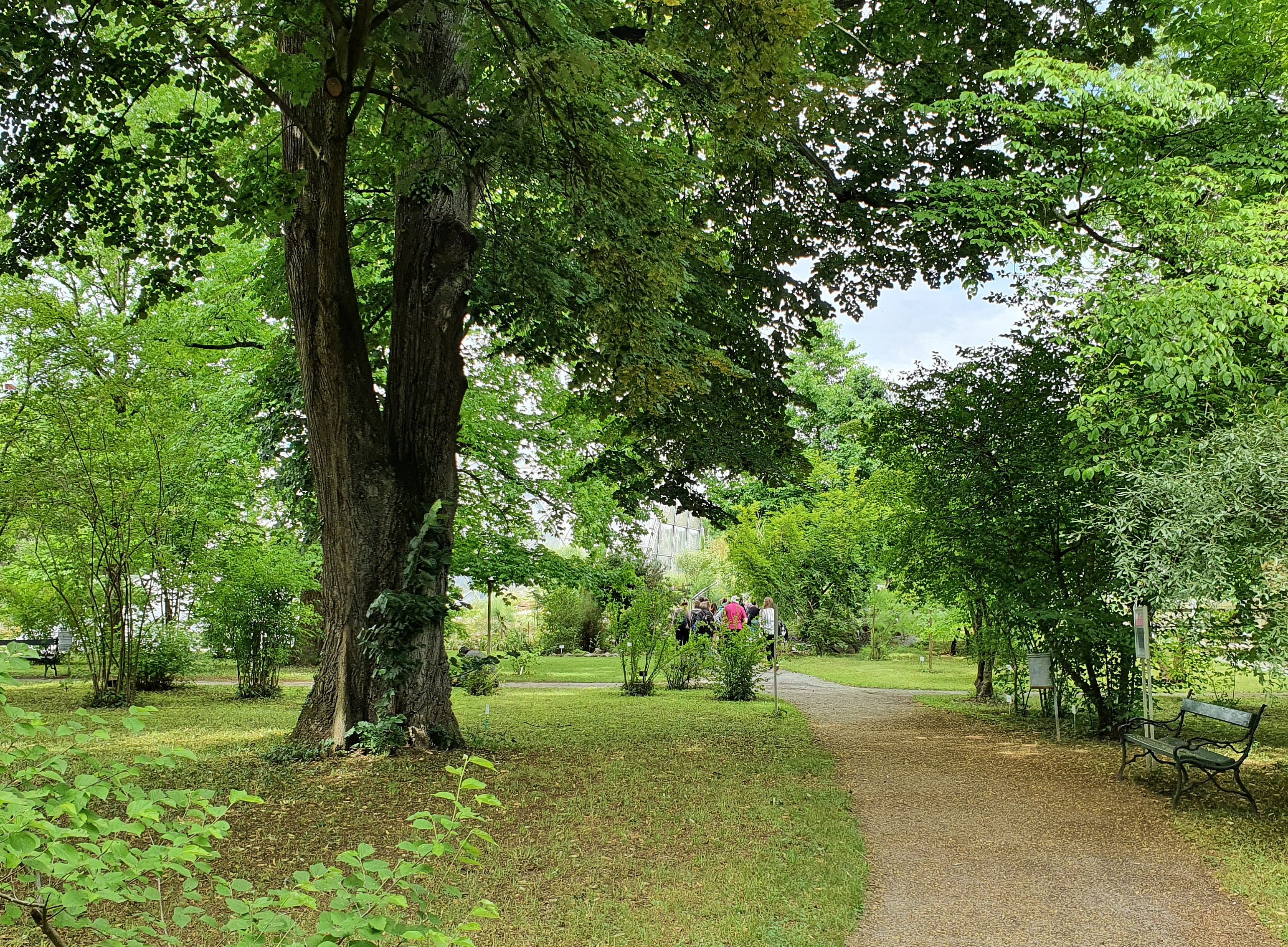 Wege Arboretum 