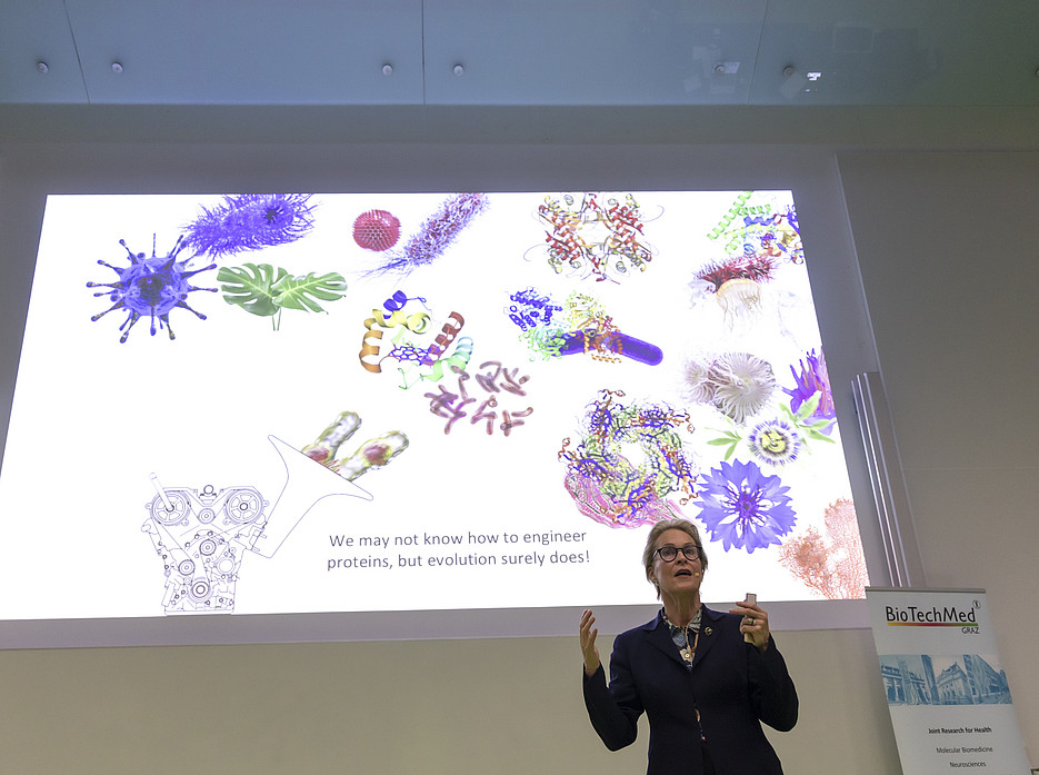 Arnold präsentiert ©© Helmut Lunghammer