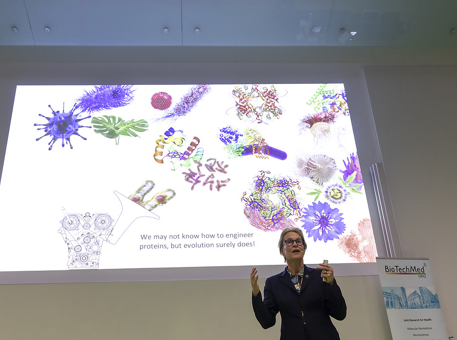 Arnold präsentiert ©© Helmut Lunghammer