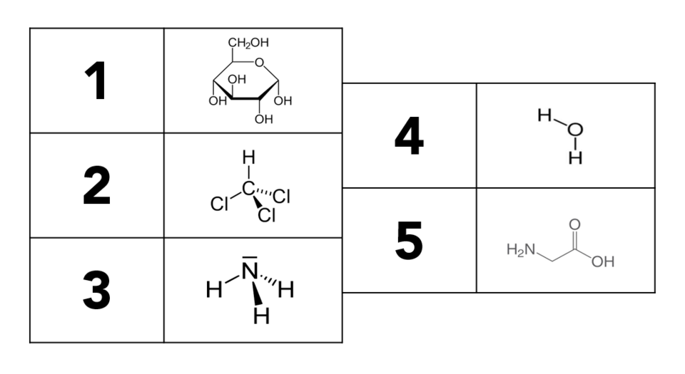 In der Abbildung sind die folgenden chemischen Strukturformeln aufgezeichnet: (1)  C6H12O6; (2) CHCl3; (3) NH3; (4) H2O; (5) C2H5NO2.