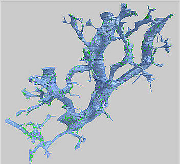 Fig. Synaptic interface of a motion-sensitive neuron. Cooperation of the Institute of Cellbiology, Histology and Embryology and FELMI-ZFE. Picture: Dr. Stefan Wernitznig. ©Dr. Stefan Wernitznig.