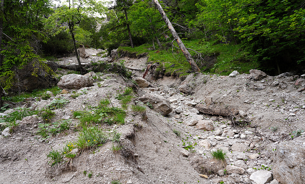 Murenabgang im Gebirge