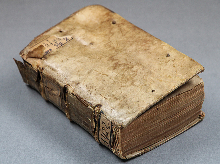 Theses und Dicta Notabilia