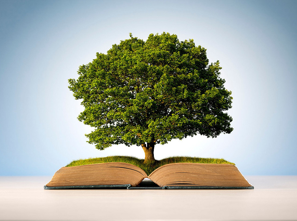 Tree grows out of an open book and symbolizes the doctoral program Lesedi ©stock.adobe.com/Brian Jackson