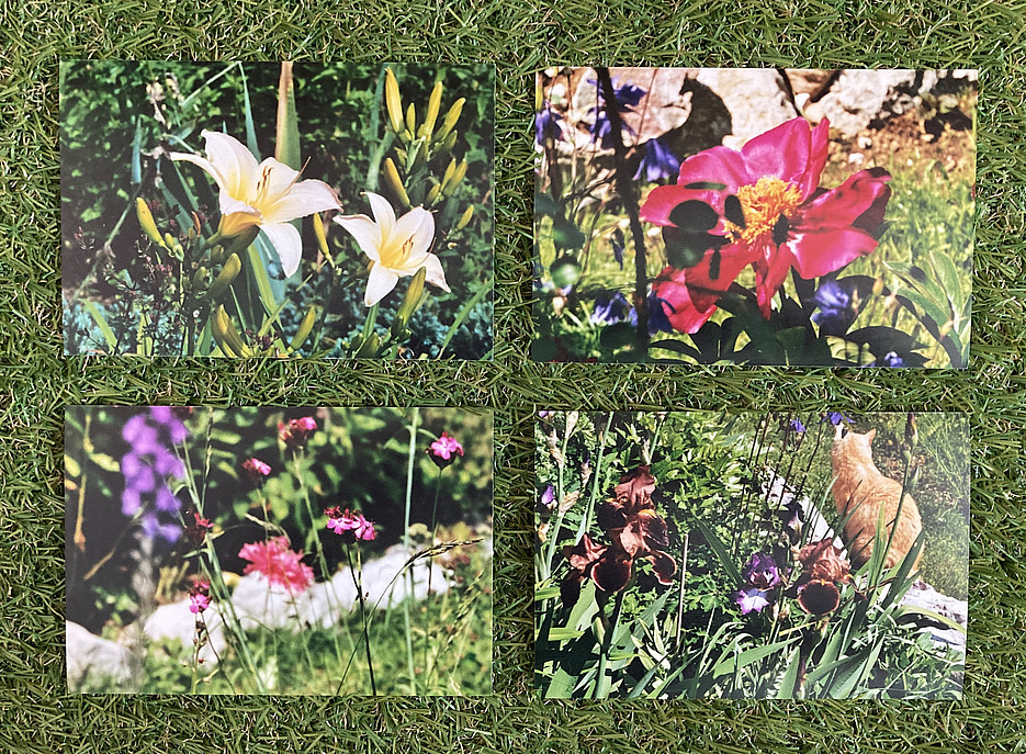 Blumenfotografien von Barbara Frischmuth 