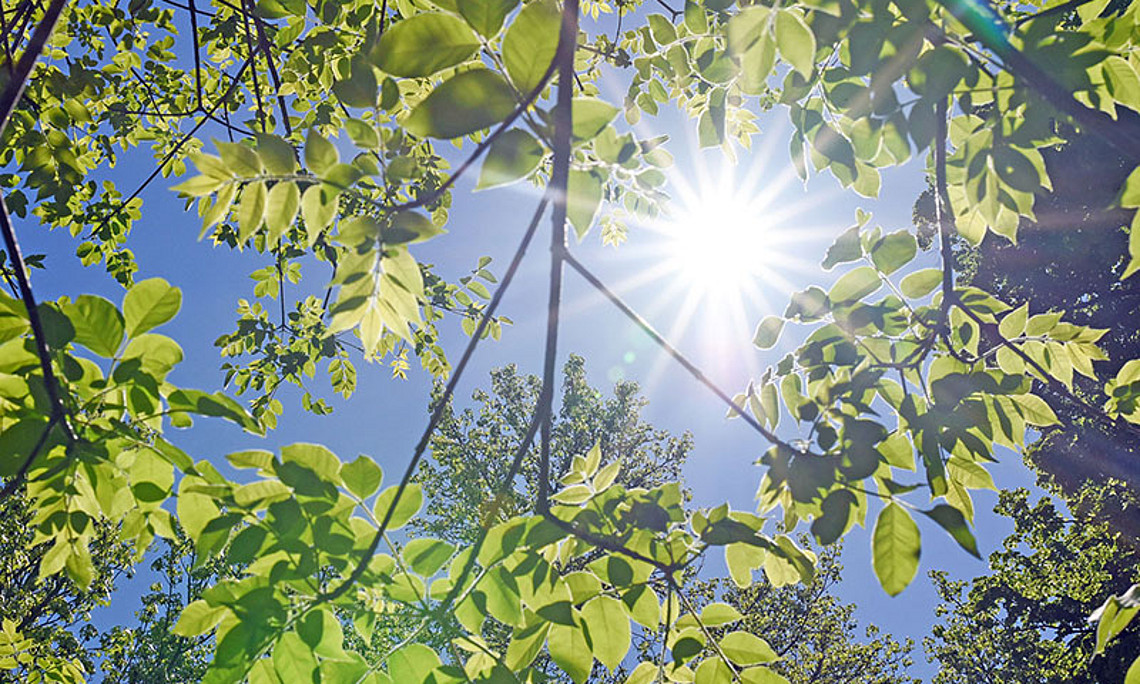 The sunbeams bring confidence. Read the latest issue of the magazine UNIZEIT to learn how to regain and enjoy freedom. Photo: Uni Graz/Tzivanopoulos