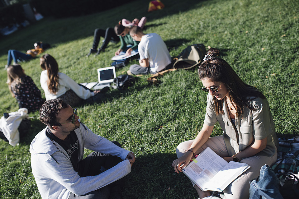 Studierende sitzen in Gruppen auf der Campuswiese, lernen mit Materialien und unterhalten sich