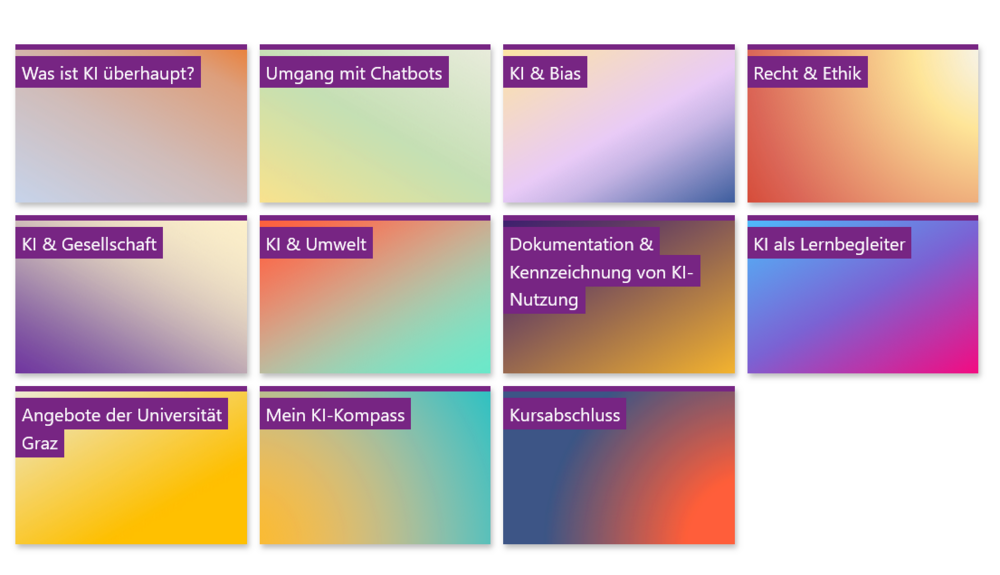 Screenshot aus dem Moodle-Kurs 