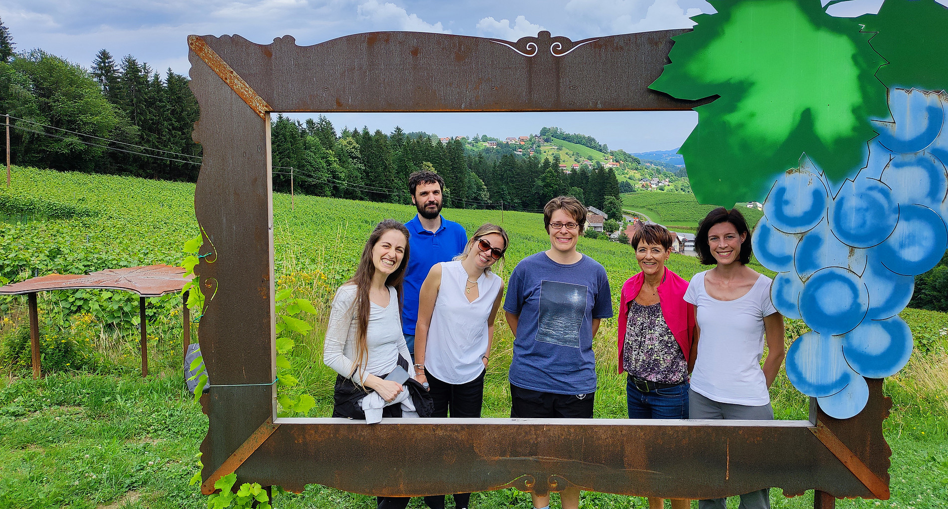 Employees and guests of Developmental Psychology on a joint excursion in the countryside ©Viktoria Jöbstl