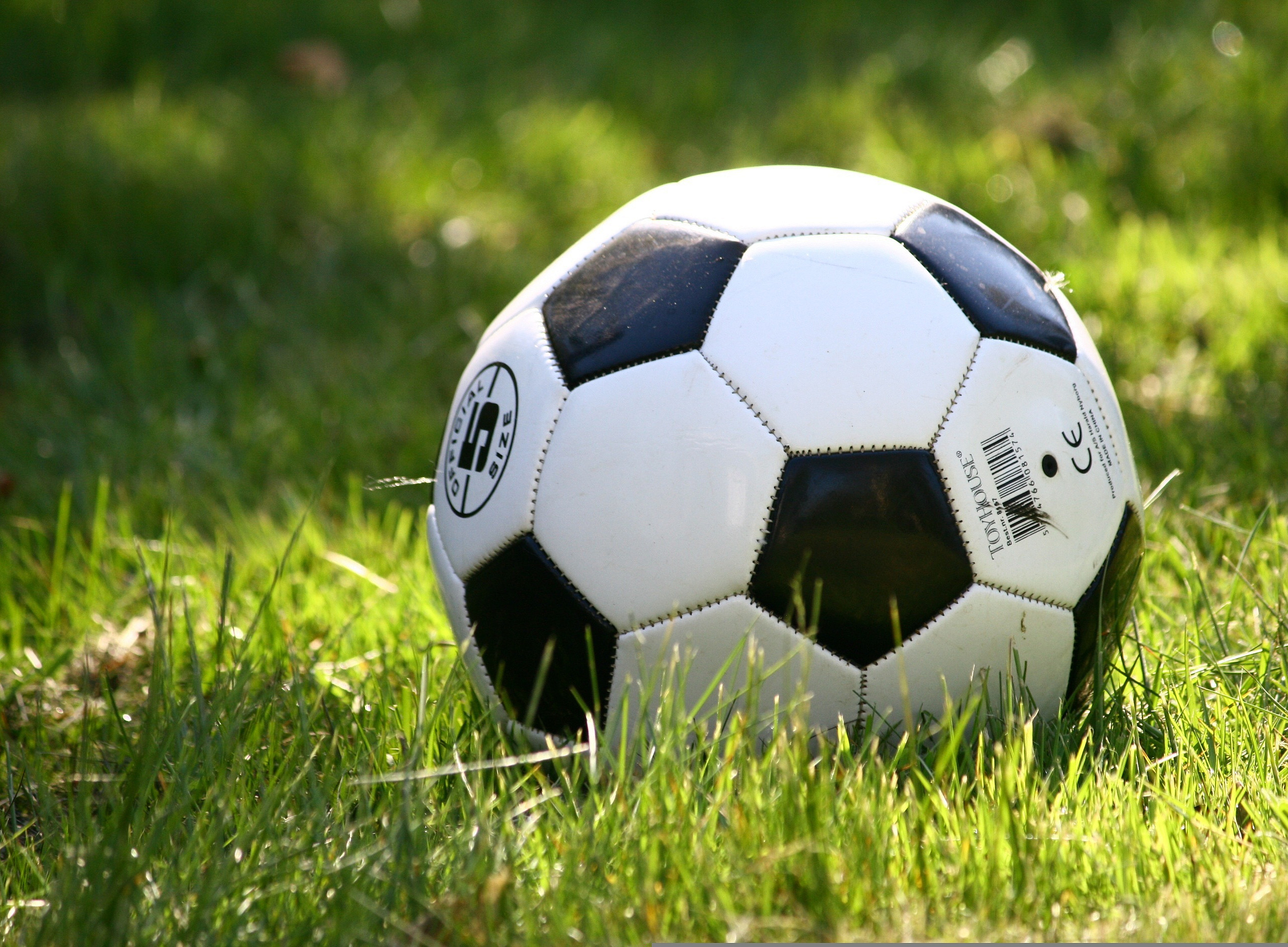 Fußball, Rasen, WM 