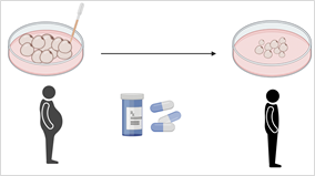 Anti-adipogenic substances 