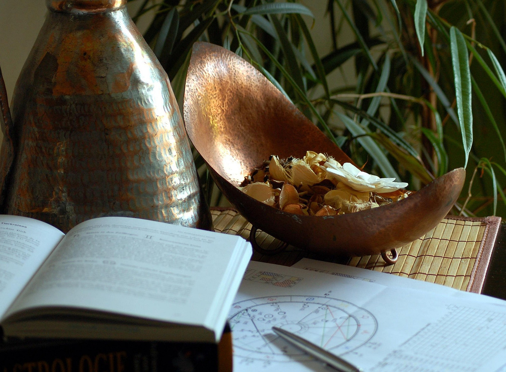 Buch, Horoskop ©arc-fotos