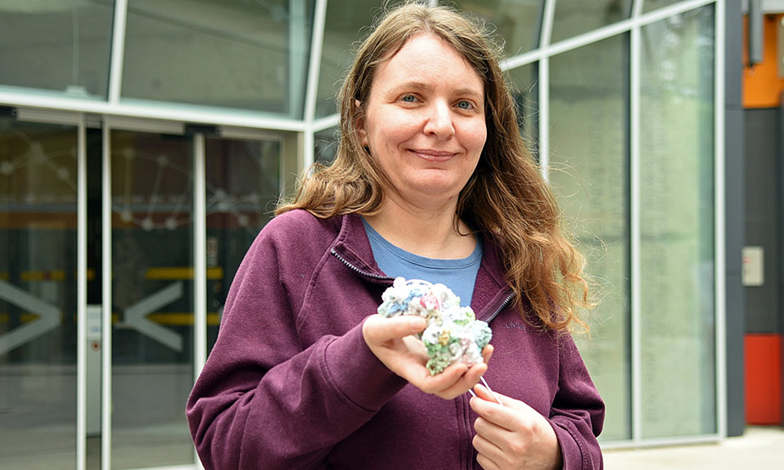 Brigitte Pertschy präsentiert ein Ribosomen-Modell: Wie der Bau der Protein-Fabriken koordiniert wird, hat die Biowissenschafterin entschlüsselt. Foto: Uni Graz/Eklaude